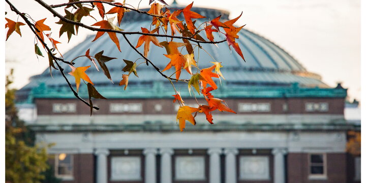 Scenic view of campus