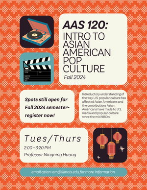 AAS 120 flyer