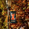 UIUC Flag Pole