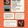 AAS 120 flyer