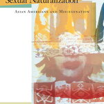 A yellow, white, green, and red book cover. A collage of abstract images and the lower half of a woman's face on the right side. Title reads "Sexual Naturalization: Asian Americans and Miscegenation." Author Susan Koshy.